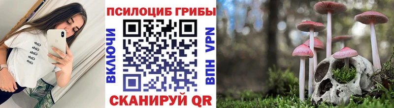 Псилоцибиновые грибы мицелий  купить   Балаково 